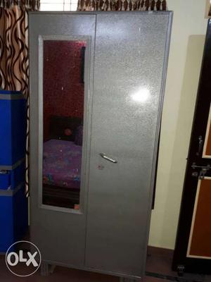 Stainless Steel Wardrobe With Mirror