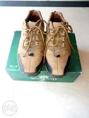 Pair Of Black-and-brown Woodland Shoes On Box