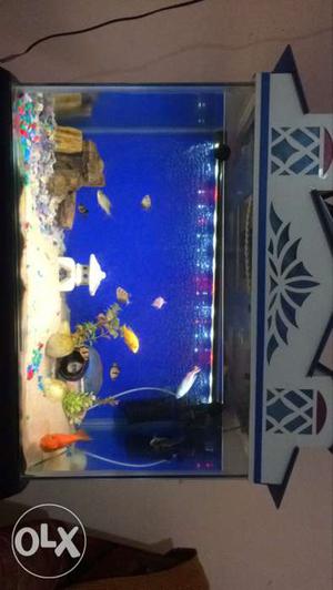 2.45 feet aquarium with all accesories including
