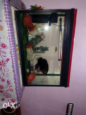 2 foot acquariam and top cover without fishes and