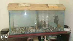 3 Feet Aquarium for sale with accessories.