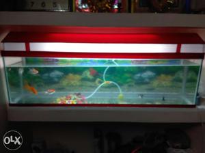 45 inch X 15 X 12 with led light 15 days use only