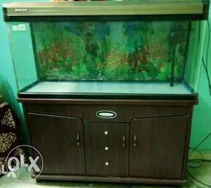 Black Frame Fishtank