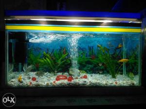 Fish Tank For sell