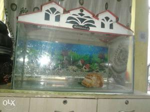Fish tank for sale fixed price stand is new but