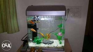 Imported fish tank with motor, pumps,fishes and other