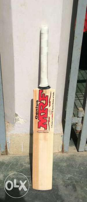 Mrf player special bat at very lowest price only