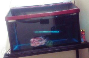 Red Frame Fish Tank
