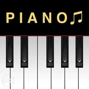 TEACHER--Piano keyboard & synthesizer. I'm an