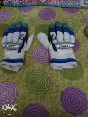 White And Blue SG cricket Campus Hand Gloves size: boys for