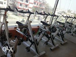  per treadmill  per cycle for detail contact