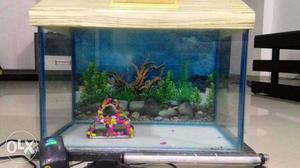 18X12 inch aquarium fish tank.