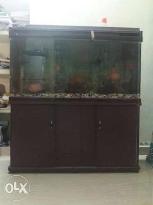 Acrylic Fish tank for sale 4ft ×3ft×1ft