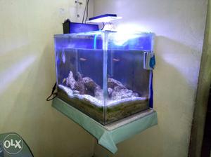 Aquarium with top filter. Zet lite /rock /fish.