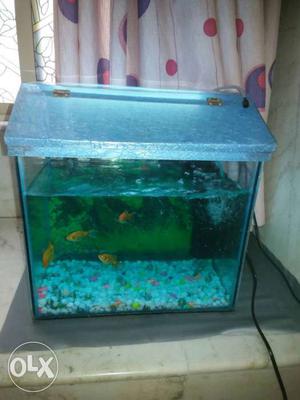 Fish tank.filter oxygen heater light medicine food