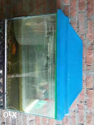 Fish tank with Stan urgent for sale