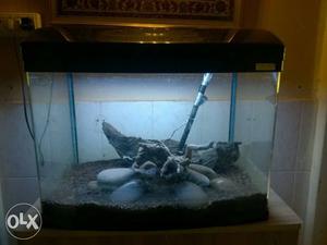 Planted tank with drift wood sand stones.