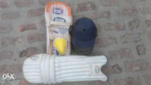 Cricket- BDM Pads+ L-Gaurd+ Helmet