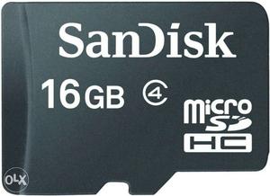 Sandisk 16 GB Micro SD