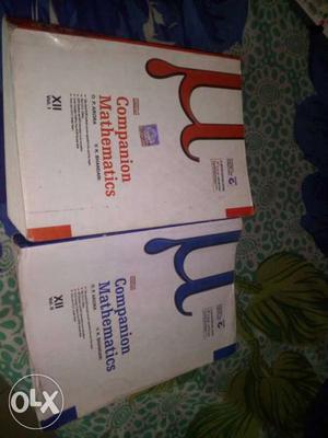 Two Companion Mathematics Books