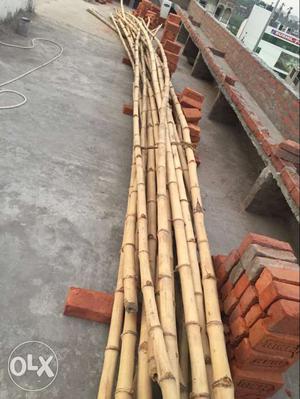 20 ft bamboo 30 pice