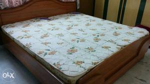 4 inch thick 75x36 KURLON mattresses