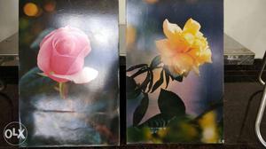 Two laminated 1/2 inch thick picture boards Size
