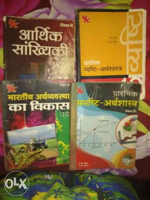 11 and 12 economic books (hindi medium)