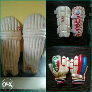 SG Cricket pads,Gloves,2 Elbow guards,Abdominal guard