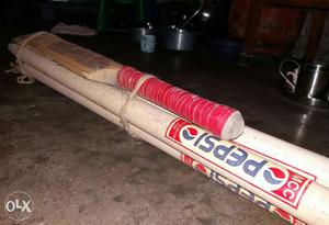 1 piece Red And Brown Cricket Bat with 4 piece wicket Price