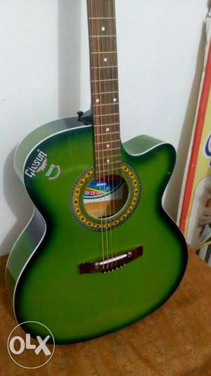 Givson Guitar brand new with carry bag