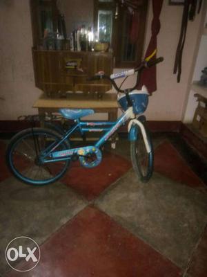 Boy's Blue Bicycle