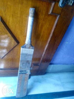 Cricket bat for mark ball