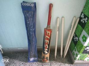 Cricket bat with 4 stumps and carry bag