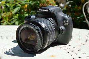 Canon D wd  powerful lens +memory