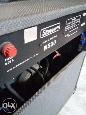 Guitar keyboard amplifier