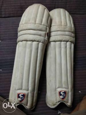 New cricket kit