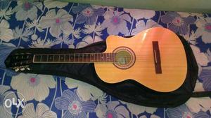 Pluto semi electric acoustic guitar