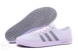ADIDAS NEO contact for more details and inquiries.