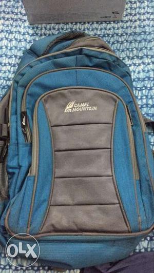 Blue And Grey Camel Backpack