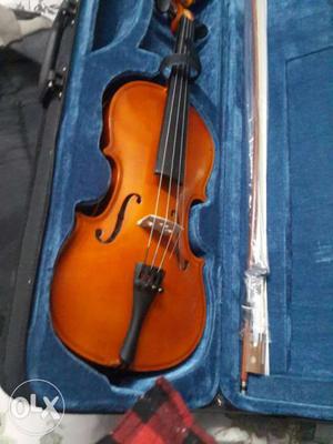 Brown Violin In Case