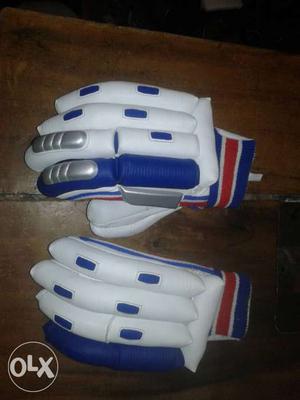 Cricket Gloves NEW
