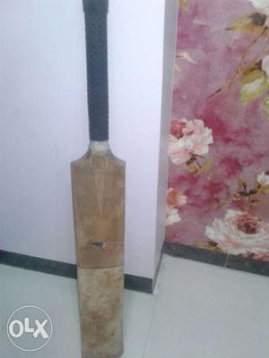 Puma kashmir willow bat it is used but yes the
