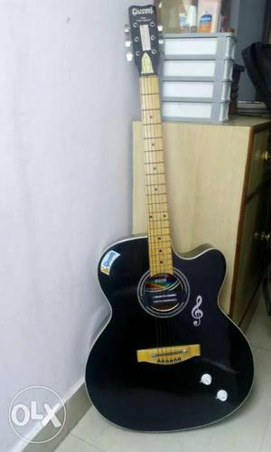 Semielectric, acoustic guitar, brand new not used