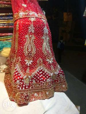 Women's Red And Bronze Sari