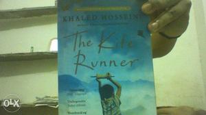 "the kite runner" novel