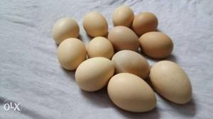 ₹14 each fresh eggs