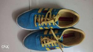 Blue-and-yellow Adidas Low Top Sneakers