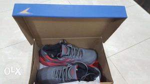 Brand New Power Shoes, Size 9