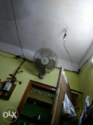 Croptan wall fan
